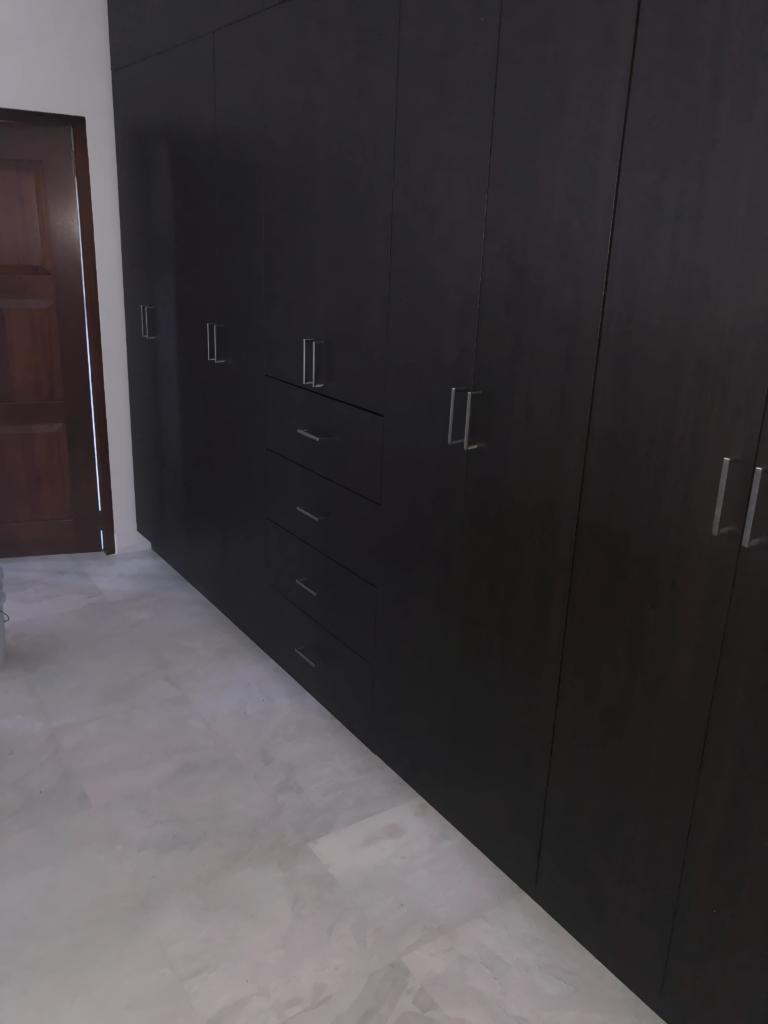 Toronto home renovation with custom closet install